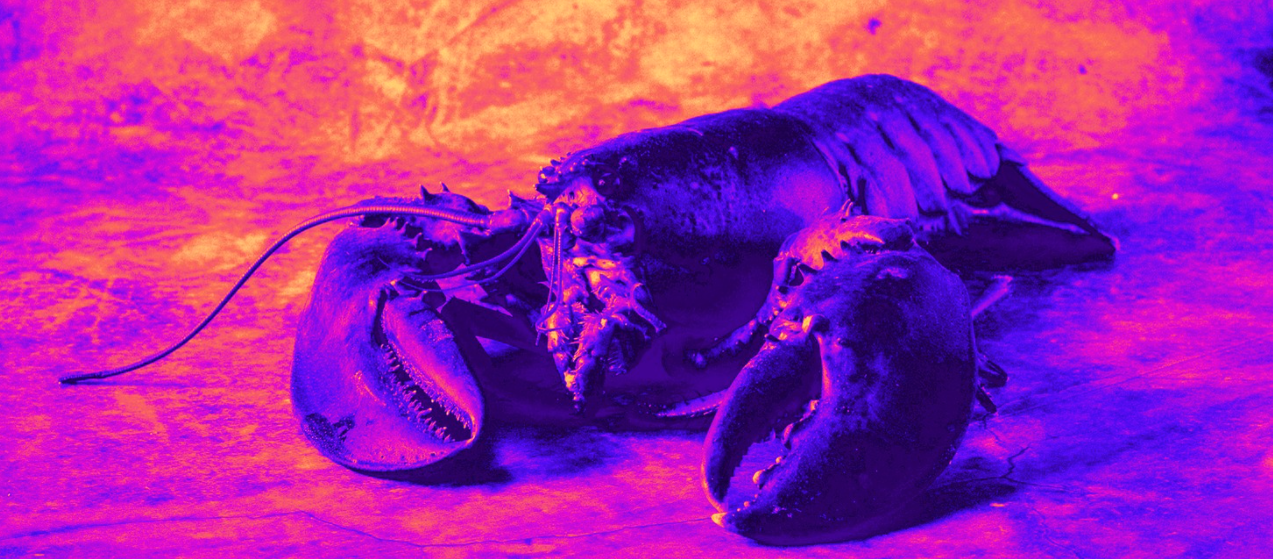 Clawdbot and OpenClaw Explained: How Creating Personal AI Agents Helps as MSP